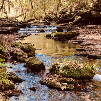 Short Springs State Natural Area - Machine Falls, Laurel Bluff, and Adams Falls Loops - Parks Near Me - Tullahoma, Tennessee