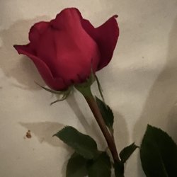 Nello's Place - Complimentary rose for the ladies
