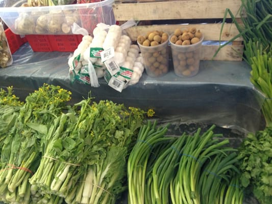 Phongsavan Market Place by null