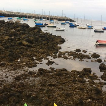 Not Your Ordinary Bistro - Seafood Near Me - Rockport, Massachusetts