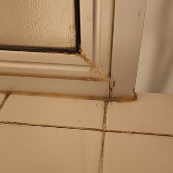 Eco-Me - Home Cleaning Near Me