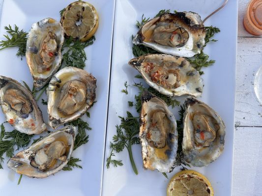 Barnegat Oyster Collective by null