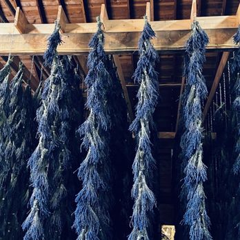 B & B Family Farm - Walking Tours Near Me - Sequim, Washington