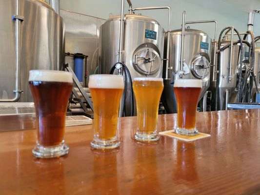 Elevation 66 Brewing Company by null