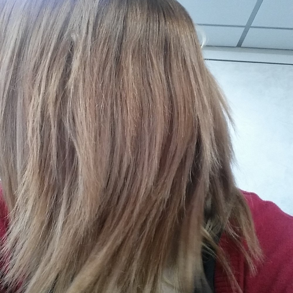 Bleu Salon - After the first process - Hair Extensions Near Me - Valrico, Florida Bleu Salon - After the first process - Hair Extensions Near Me - Valrico, Florida