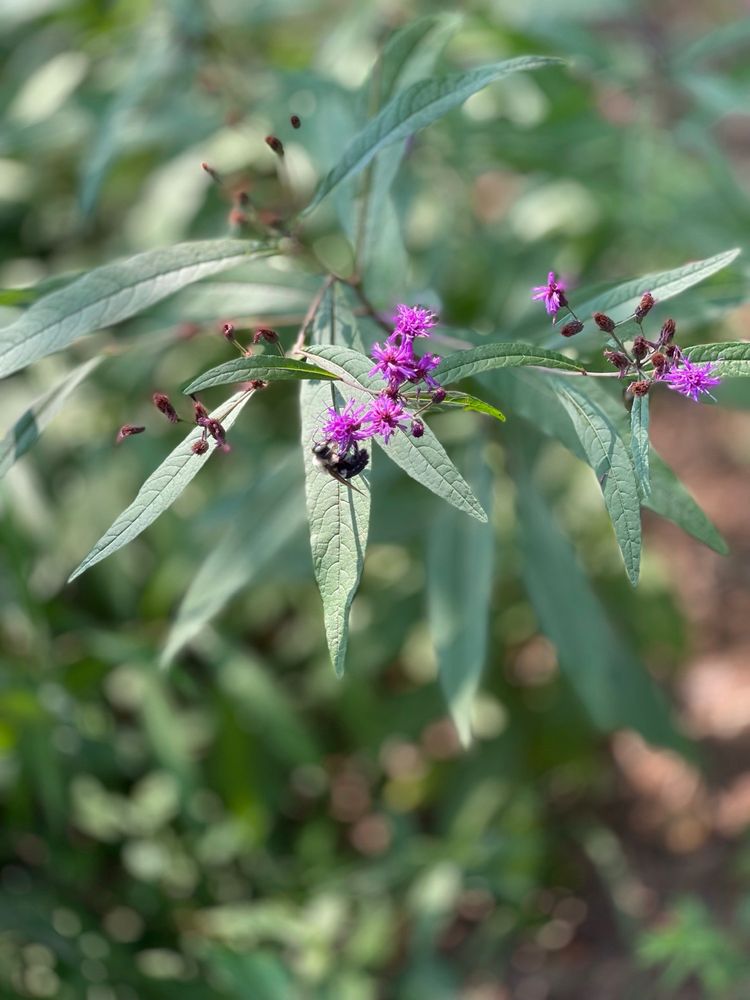 High Point City Lake Park