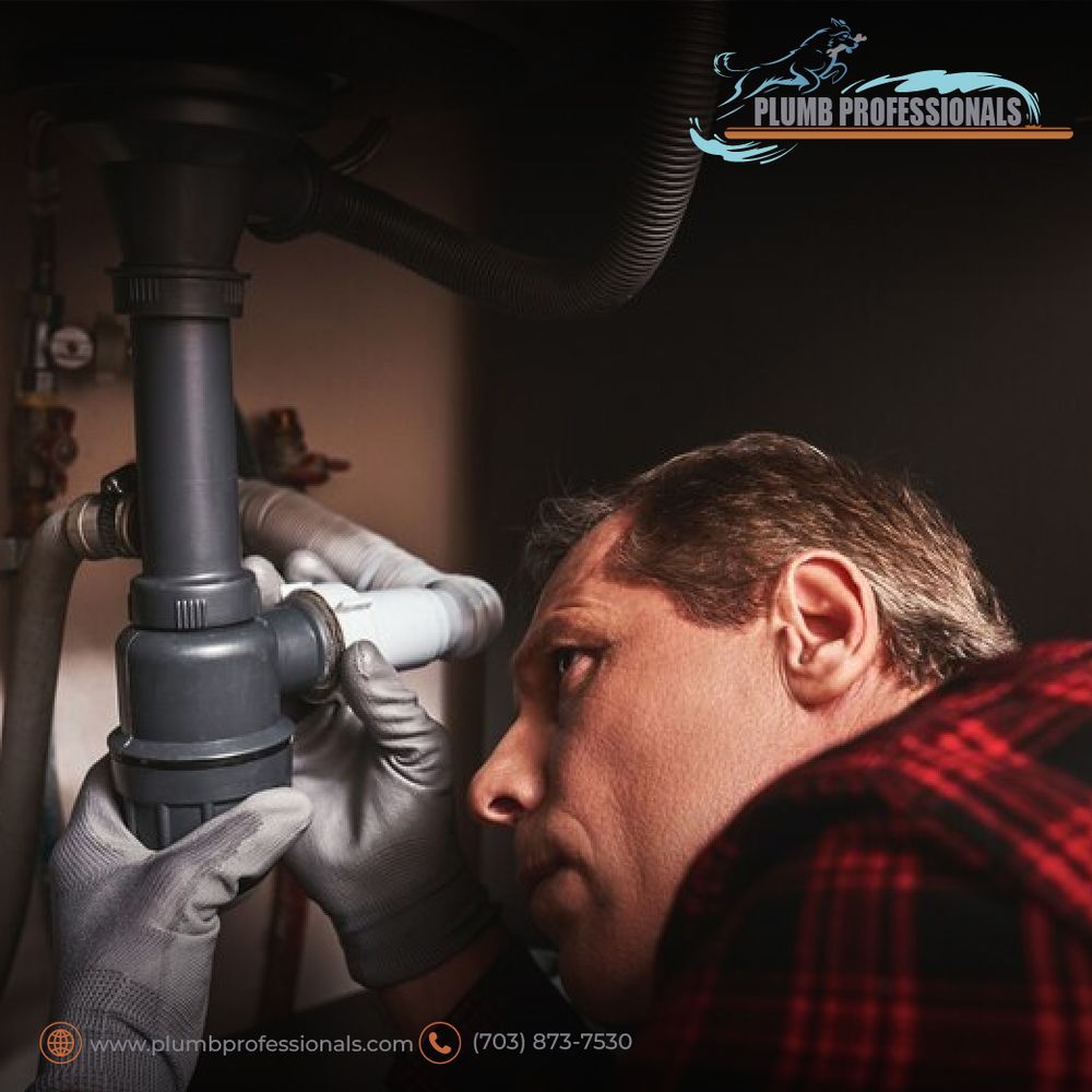 Slide of Plumb Professionals