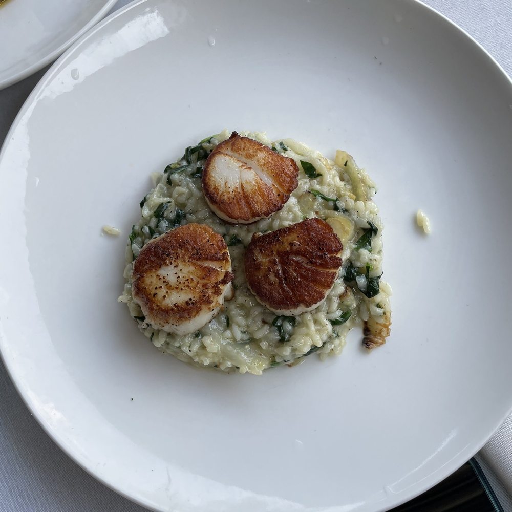 Veranda Restaurant & Cafe - Pan seared scallops - Mediterranean Near Me - Bayside, New York Veranda Restaurant & Cafe - Pan seared scallops - Mediterranean Near Me - Bayside, New York