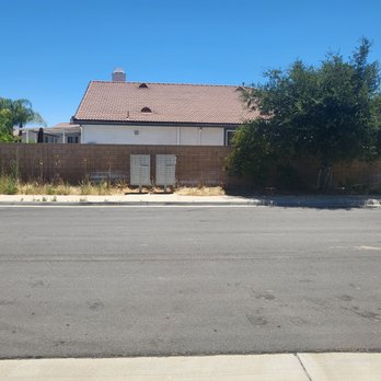 Vicente Tree Services and Landscape - Before - Landscaping Near Me