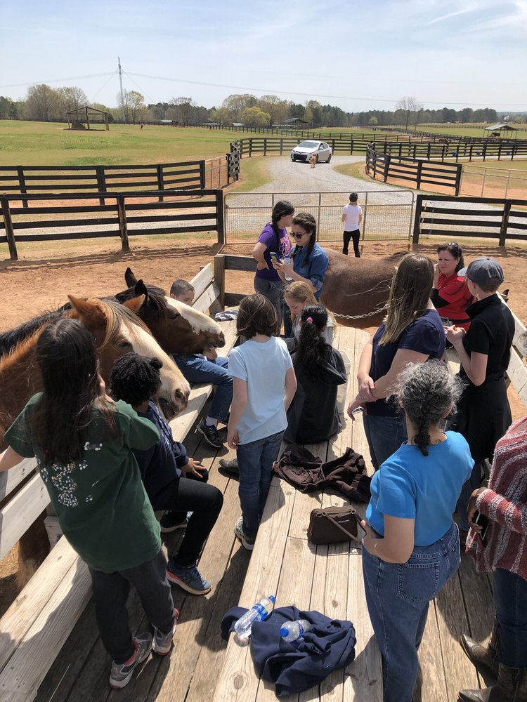 CLASSIC CITY CLYDESDALES 10 Photos 4190 Price Mill Rd, GA