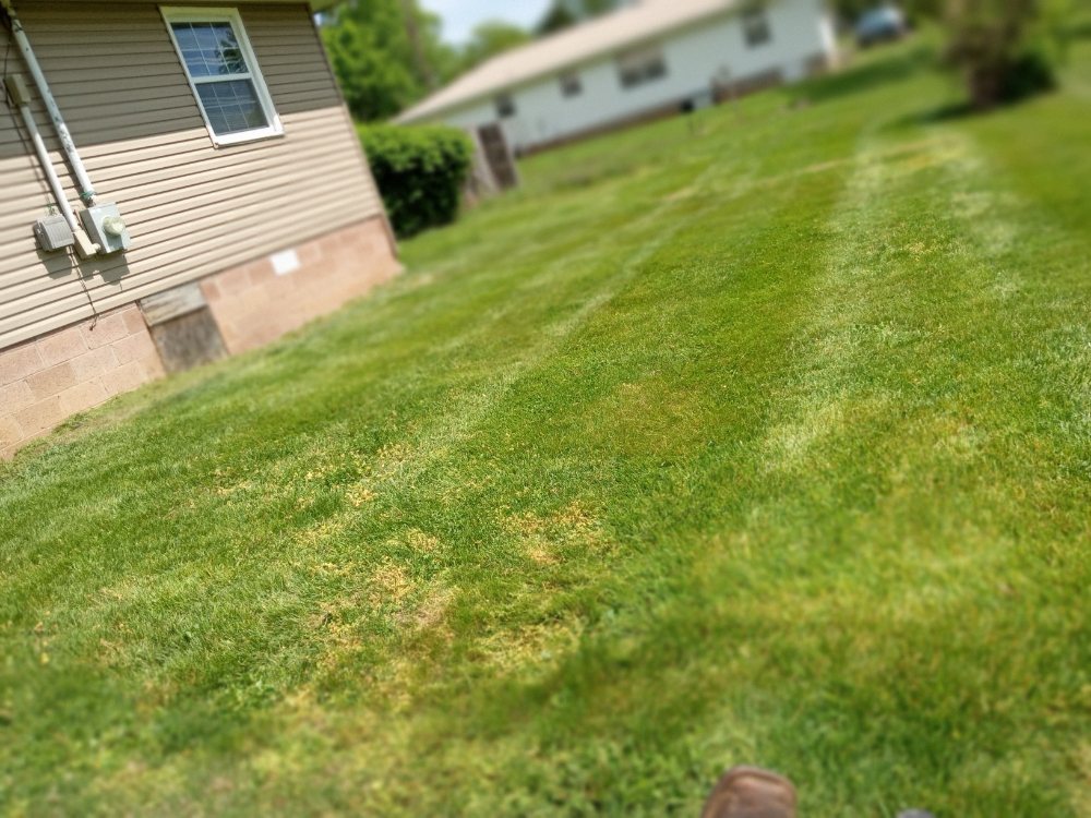 Slide of Easterday Emporium