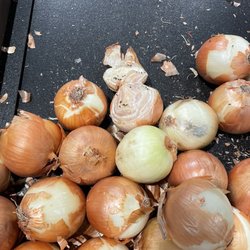 Kroger Food and Pharmacy - Rotten onion and gnats