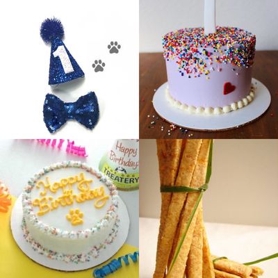 Spoiled Pups Bakehouse 1148 Photos Pet Stores 1012 Fourth Avenue New Westminster Phone Number