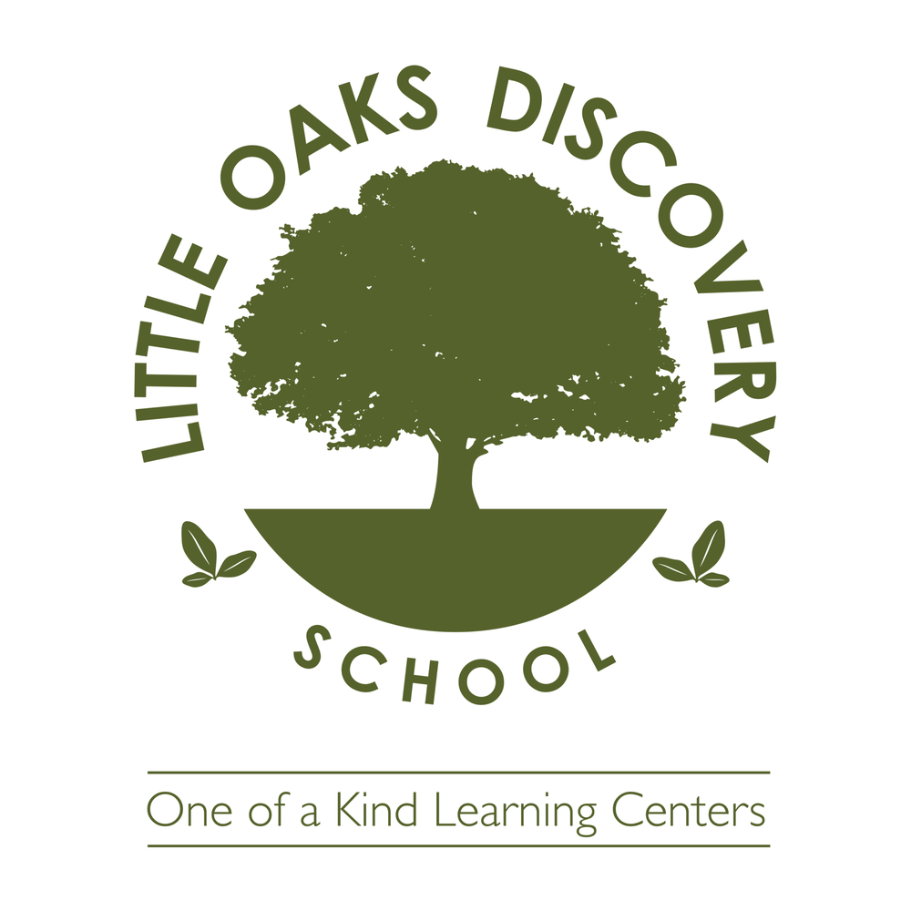 Little Oaks Discovery School - childcare center in Helotes, TX