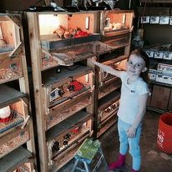 Chase Hatchery - Attraction Farms Near Me - Stansbury Park, Utah