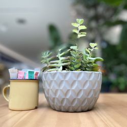 The Pots Cafe