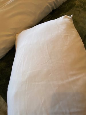 McCloud Mercantile Hotel by null