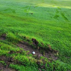 Hidden Waters Golf Course - 5 feet off another green