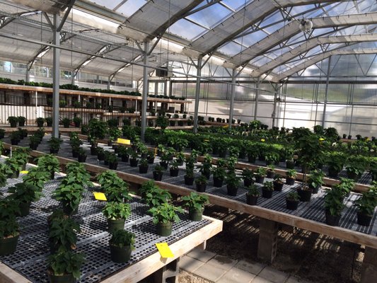 Liberty Park Greenhouse and Garden Center