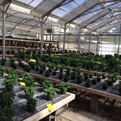 Liberty Park Greenhouse and Garden Center - Dr Seuss would have a hay day here. Beautiful, imaginative glorious green.