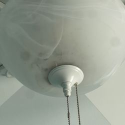 Ceiling fan leaking water with mold buildup.