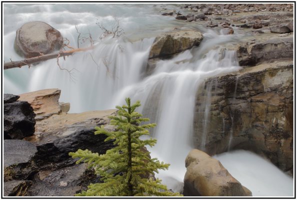 Sunwapta Falls - 45 Photos - Hiking - Alberta 93, Jasper, AB - Yelp