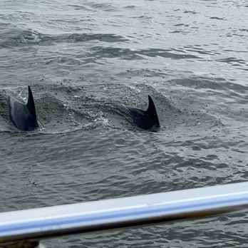 Oc Rocket - Boating Near Me - Ocean City, Maryland