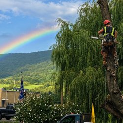 Backwoods Tree Service - Just a bit more to go. Had a quick rain shower and they were right back at it.
