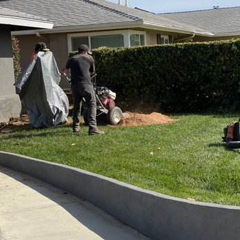 Tony's BC Tree Service - Tree Services Near Me - Orange, California Tony's BC Tree Service - Tree Services Near Me - Orange, California