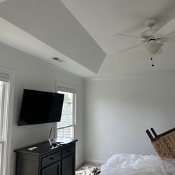 Mo’s Professional Painting