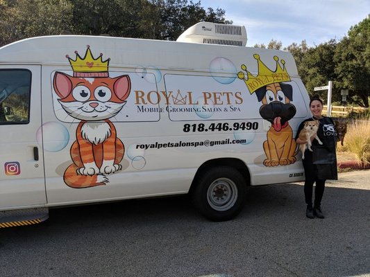 royal spa mobile pet grooming
