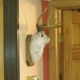 A Jackalope at the check-in desk AND the local's favorite pub and grub right across the street? I'm in! A Jackalope at the check-in desk AND the local's favorite pub and grub right across the street? I'm in!