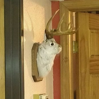 Safari Inn - A Jackalope at the check-in desk AND the local's favorite pub and grub right across the street? I'm in! - Hotels Near Me - Limon, Colorado Safari Inn - A Jackalope at the check-in desk AND the local's favorite pub and grub right across the street? I'm in! - Hotels Near Me - Limon, Colorado