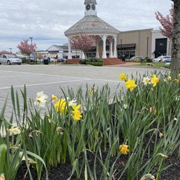 Beautiful flowers and gazebo Beautiful flowers and gazebo