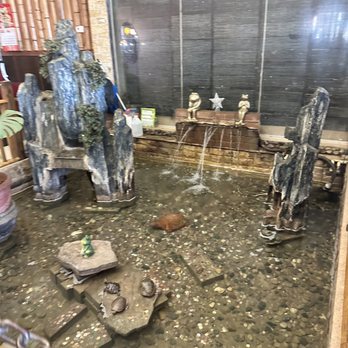 Hibachi Sushi Buffet - Such a cool little pond - Buffets Near Me - Kalamazoo, Michigan Hibachi Sushi Buffet - Such a cool little pond - Buffets Near Me - Kalamazoo, Michigan