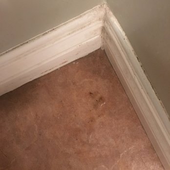 Style House Cleaning - after they cleaned the bathroom floor THREE Times - Home Cleaning Near Me Style House Cleaning - after they cleaned the bathroom floor THREE Times - Home Cleaning Near Me