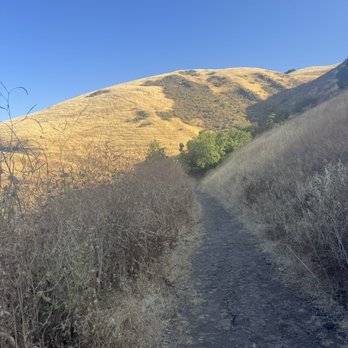 Ed R. Levin County Park - Trail (June 2025) - Dog Parks Near Me - Milpitas, California