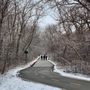 Photo of Sauganash Trail