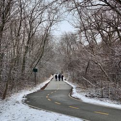 Sauganash Trail