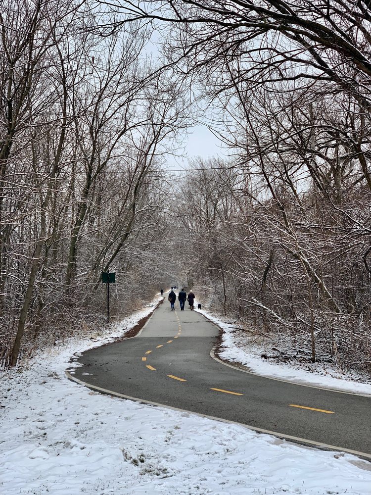 Sauganash Trail Logo