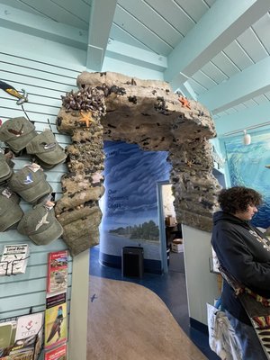Museum of Natural History by null