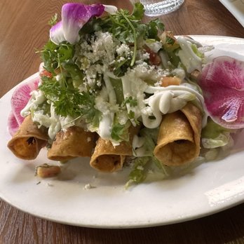 Mesa Maguey - Potato flautas - Tacos Near Me - Oakland, California Mesa Maguey - Potato flautas - Tacos Near Me - Oakland, California