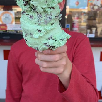 Bruster's Real Ice Cream - Mint Chocolate Chip - Ice Cream & Frozen Yogurt Near Me - Orange, California