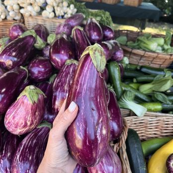 Delray Beach GreenMarket - Farmers Market Near Me - Delray Beach, Florida