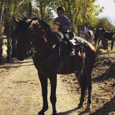 Escuela Popular by null