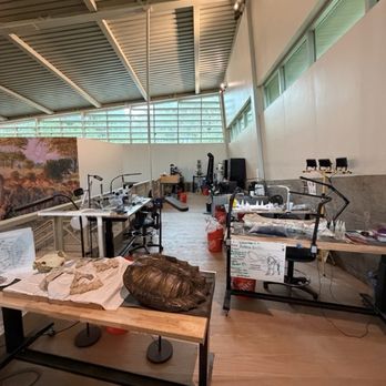 Waco Mammoth National Monument - Waco Mammoth National Monument - April 2026 - Museums Near Me - Waco, Texas Waco Mammoth National Monument - Waco Mammoth National Monument - April 2026 - Museums Near Me - Waco, Texas