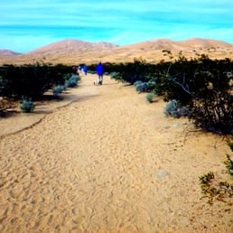 Sand walk to the dunes-Kelso Dunes