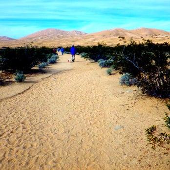 Kelso Dunes - Sand walk to the dunes-Kelso Dunes - Parks Near Me