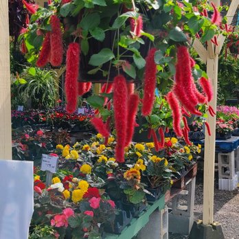 Garden Gate Fruit Market - Fruits & Veggies Near Me - Louisville, Kentucky Garden Gate Fruit Market - Fruits & Veggies Near Me - Louisville, Kentucky