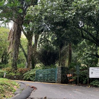 Harold L. Lyon Arboretum - Road to the entrance - Botanical Gardens Near Me - Honolulu, Hawaii Harold L. Lyon Arboretum - Road to the entrance - Botanical Gardens Near Me - Honolulu, Hawaii